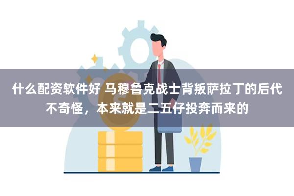 什么配资软件好 马穆鲁克战士背叛萨拉丁的后代不奇怪，本来就是二五仔投奔而来的