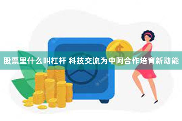 股票里什么叫杠杆 科技交流为中阿合作培育新动能