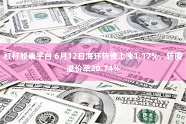 杠杆股票平台 6月12日海环转债上涨1.17%，转股溢价率20.74%