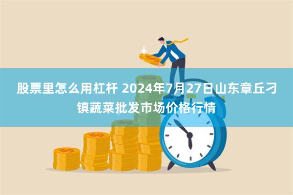 股票里怎么用杠杆 2024年7月27日山东章丘刁镇蔬菜批发市场价格行情