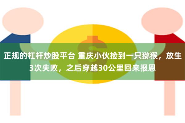 正规的杠杆炒股平台 重庆小伙捡到一只猕猴，放生3次失败，之后穿越30公里回来报恩