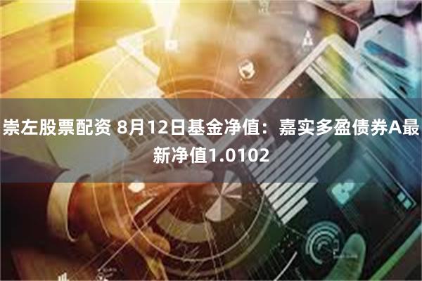 崇左股票配资 8月12日基金净值：嘉实多盈债券A最新净值1.0102