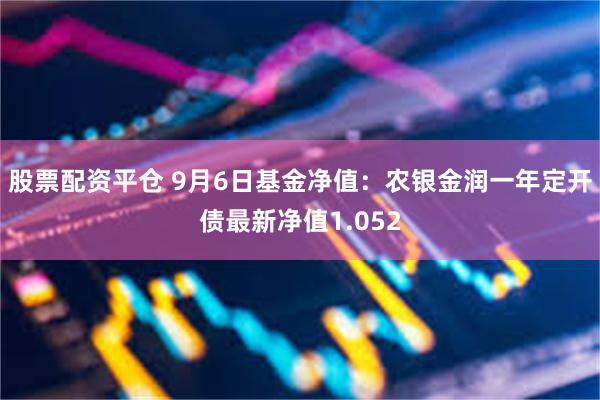 股票配资平仓 9月6日基金净值：农银金润一年定开债最新净值1.052