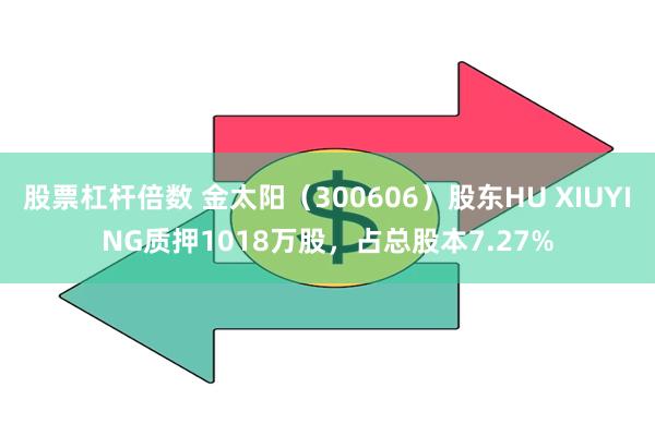 股票杠杆倍数 金太阳（300606）股东HU XIUYING质押1018万股，占总股本7.27%