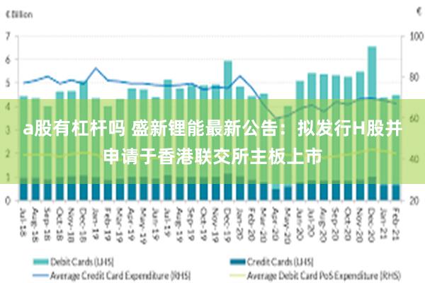 a股有杠杆吗 盛新锂能最新公告：拟发行H股并申请于香港联交所主板上市