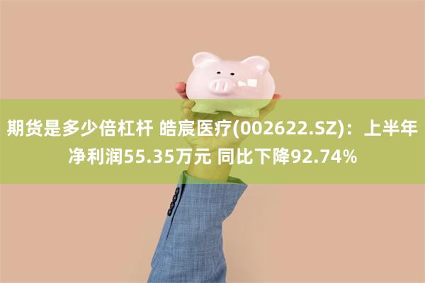 期货是多少倍杠杆 皓宸医疗(002622.SZ)：上半年净利润55.35万元 同比下降92.74%