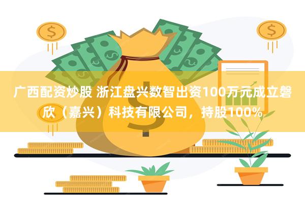 广西配资炒股 浙江盘兴数智出资100万元成立磐欣（嘉兴）科技有限公司，持股100%