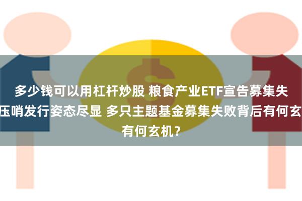 多少钱可以用杠杆炒股 粮食产业ETF宣告募集失败 压哨发行姿态尽显 多只主题基金募集失败背后有何玄机？