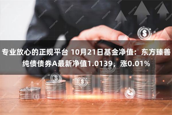 专业放心的正规平台 10月21日基金净值：东方臻善纯债债券A最新净值1.0139，涨0.01%