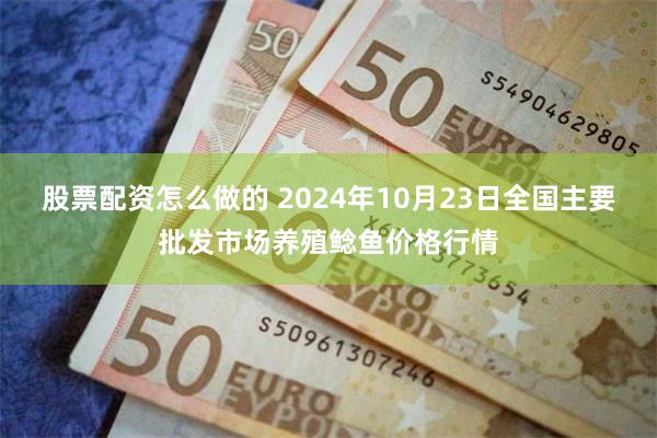 股票配资怎么做的 2024年10月23日全国主要批发市场养殖鲶鱼价格行情