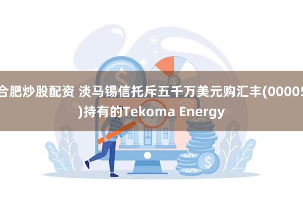 合肥炒股配资 淡马锡信托斥五千万美元购汇丰(00005)持有的Tekoma Energy