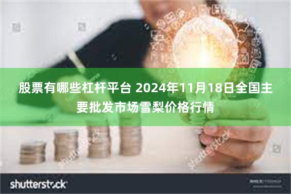 股票有哪些杠杆平台 2024年11月18日全国主要批发市场雪梨价格行情