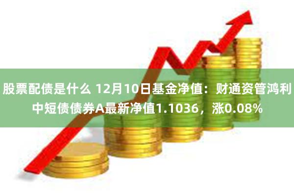 股票配债是什么 12月10日基金净值：财通资管鸿利中短债债券A最新净值1.1036，涨0.08%