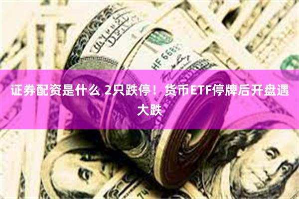 证券配资是什么 2只跌停！货币ETF停牌后开盘遇大跌